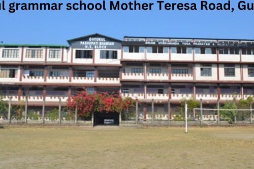 gurukul grammar school Mother Teresa Road, Guwahati